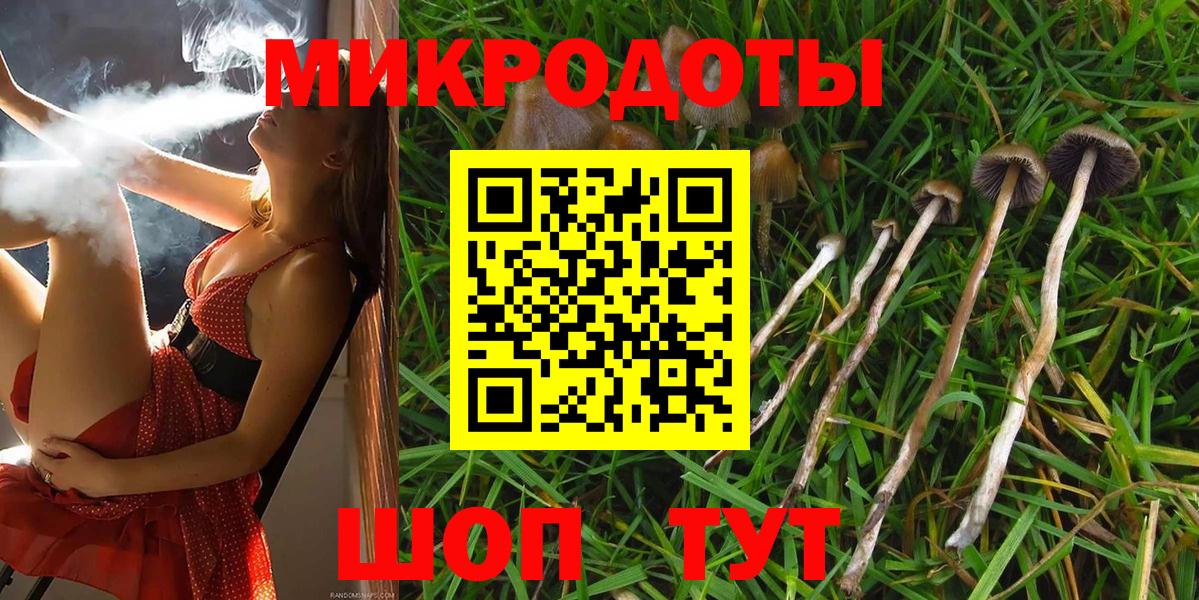 Псилоцибиновые грибы мицелий Ревда