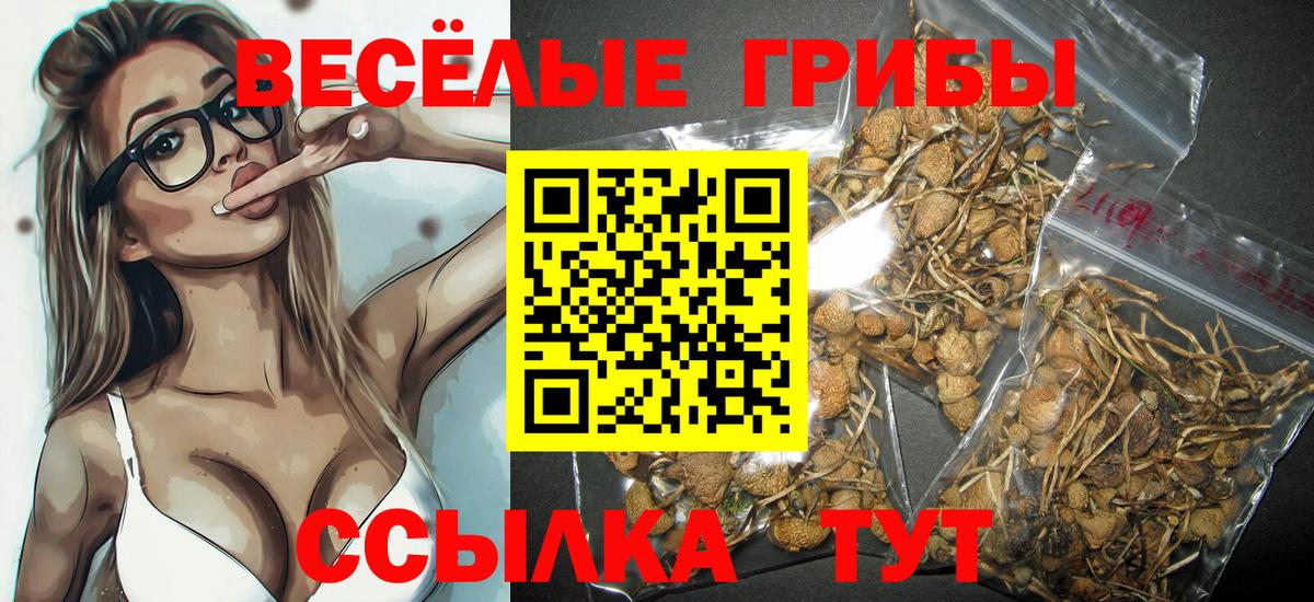 Галлюциногенные грибы Cubensis  Вход с VPN  Ревда 