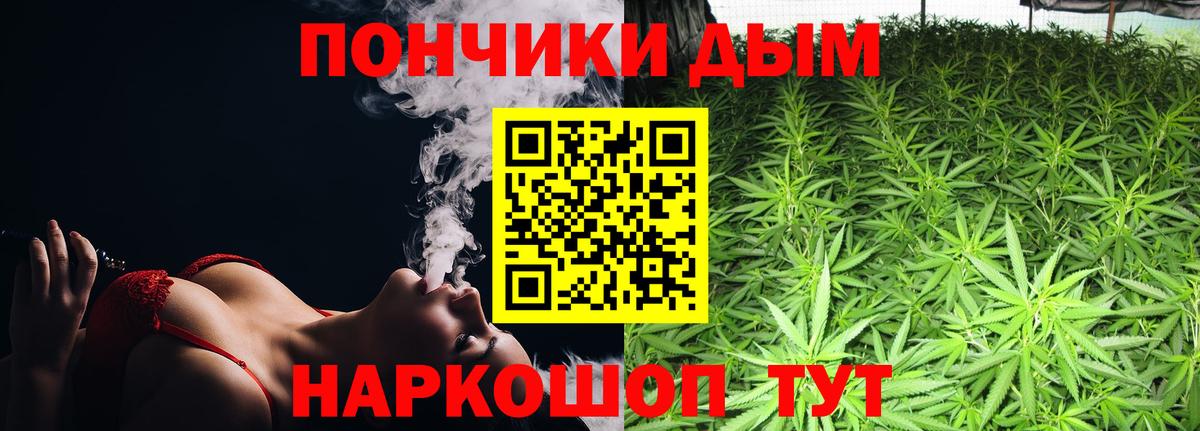 Псилоцибиновые грибы Ревда